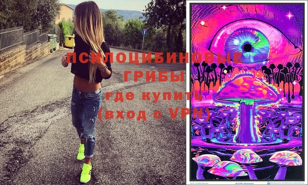 индика Алексеевка