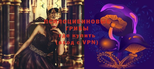 СК Абинск