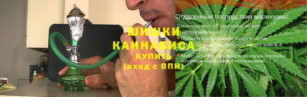 ГАЛЛЮЦИНОГЕННЫЕ ГРИБЫ Абаза
